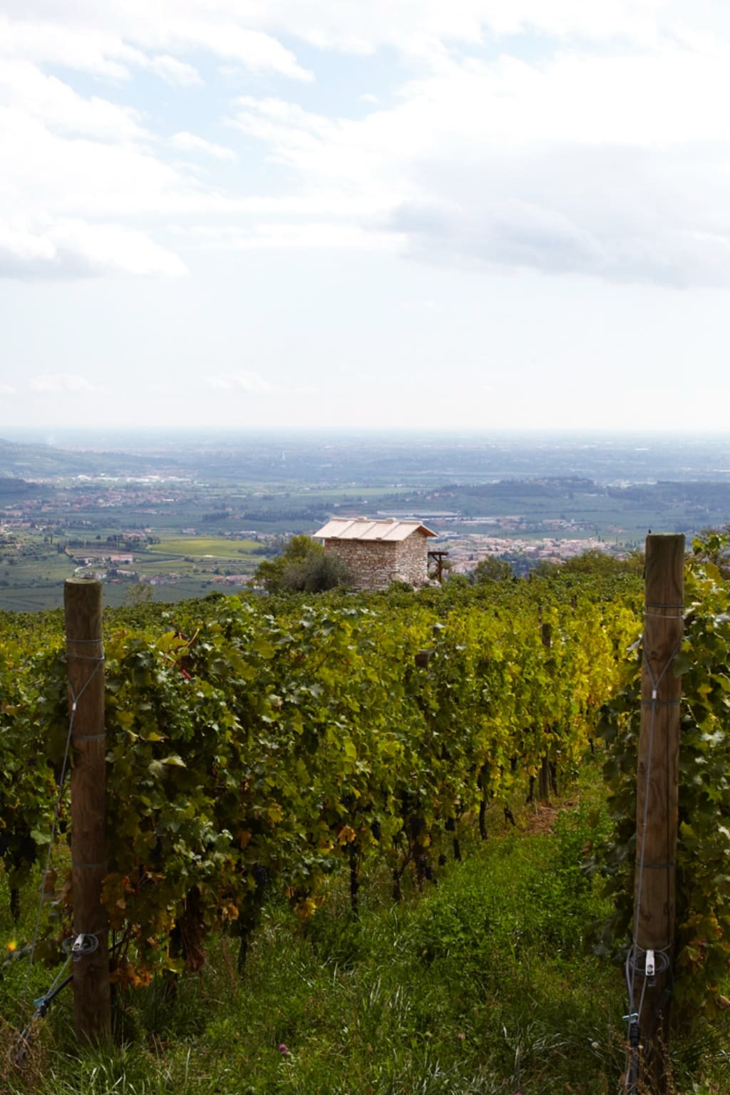 Casetta vigneto Fieramonte