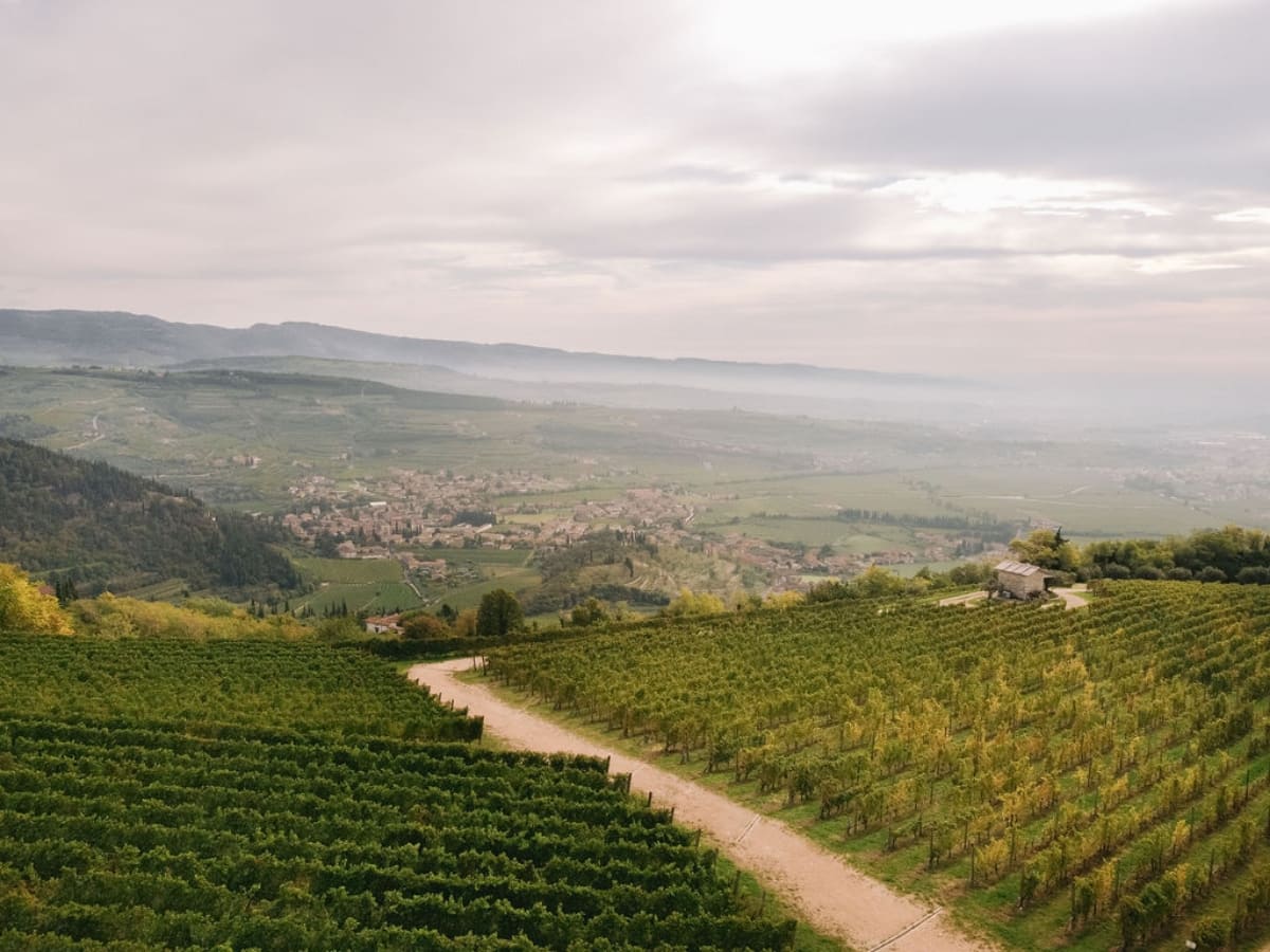 Vigneto Fieramonte e casetta